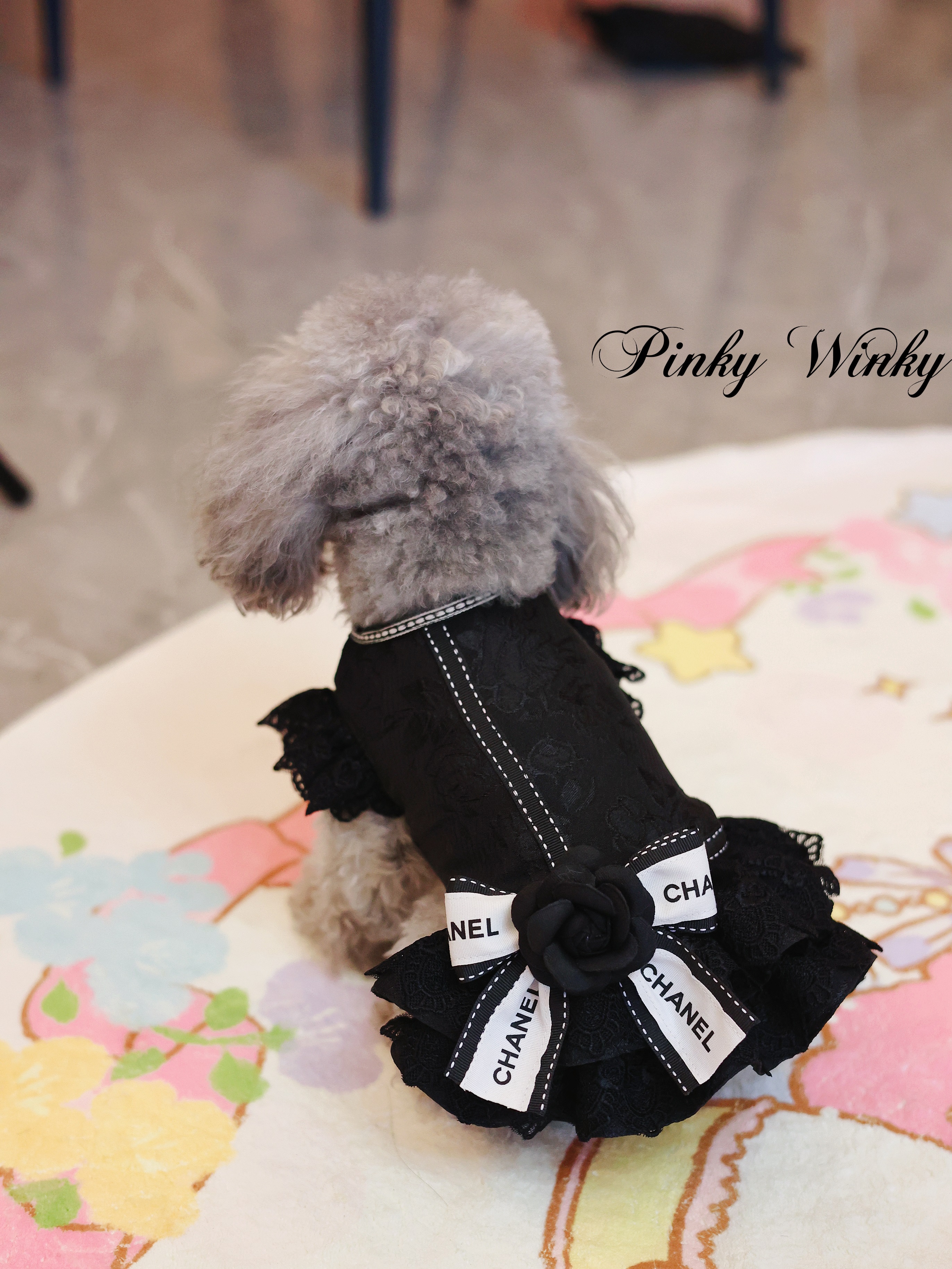 ブランド Chanel ペット服 犬の洋服 