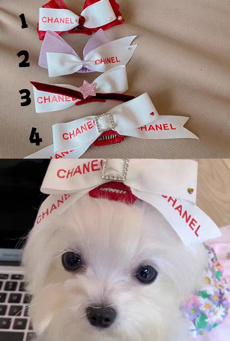 chanel  犬 ヘアアクセサリー