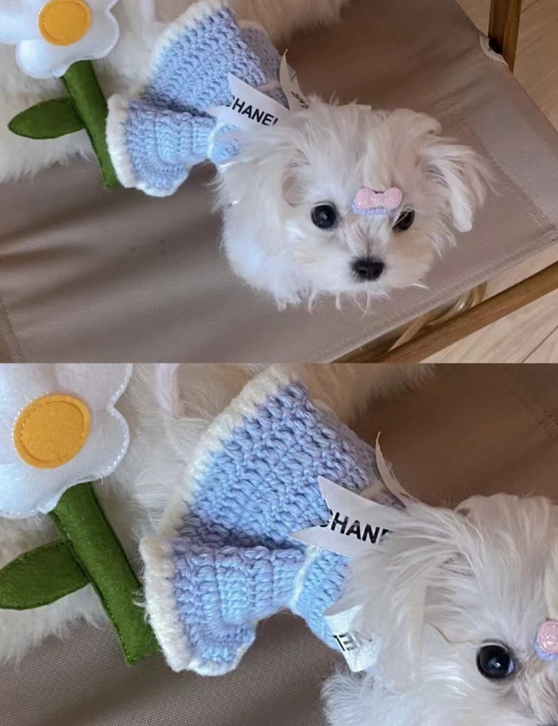 Chanel 可愛い 犬服 ワンピース 