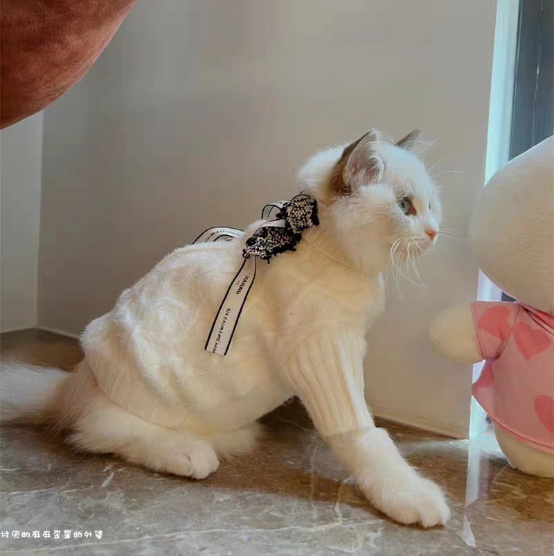 Chanel 猫ウェア 春夏tシャツ かわいい 犬洋服 シャネル ペット