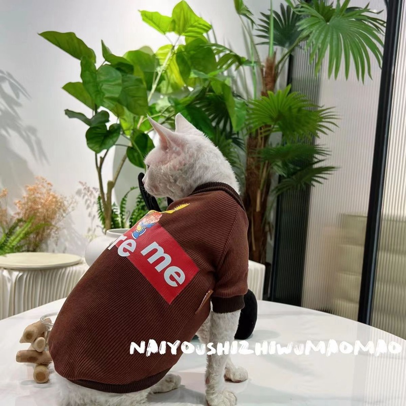 Supreme 猫ウェア スフィンクス服 tシャツ 