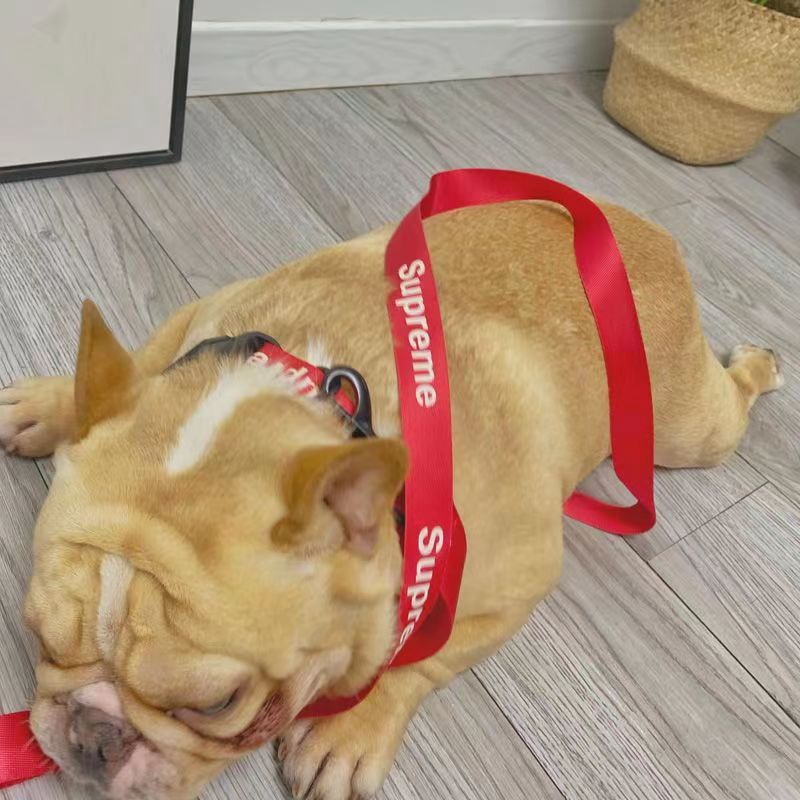 シュプリーム Supreme ペット用品 犬グッズ 首輪リード 2点セット ブランド ペット用 牽引ロープセット 定番ロゴ