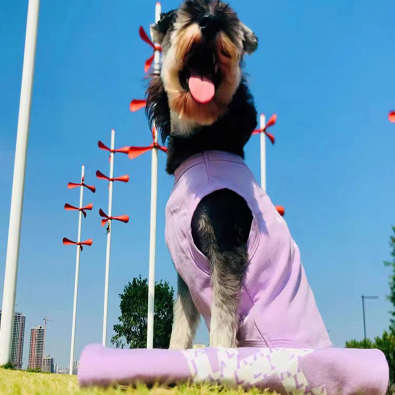 MLB ブランド 犬服 ベスト ペット服 猫ウェア NYC ロゴ入れ かわいい 犬のベスト 快適 柔らかい 流行り 綿シャツ 袖なし