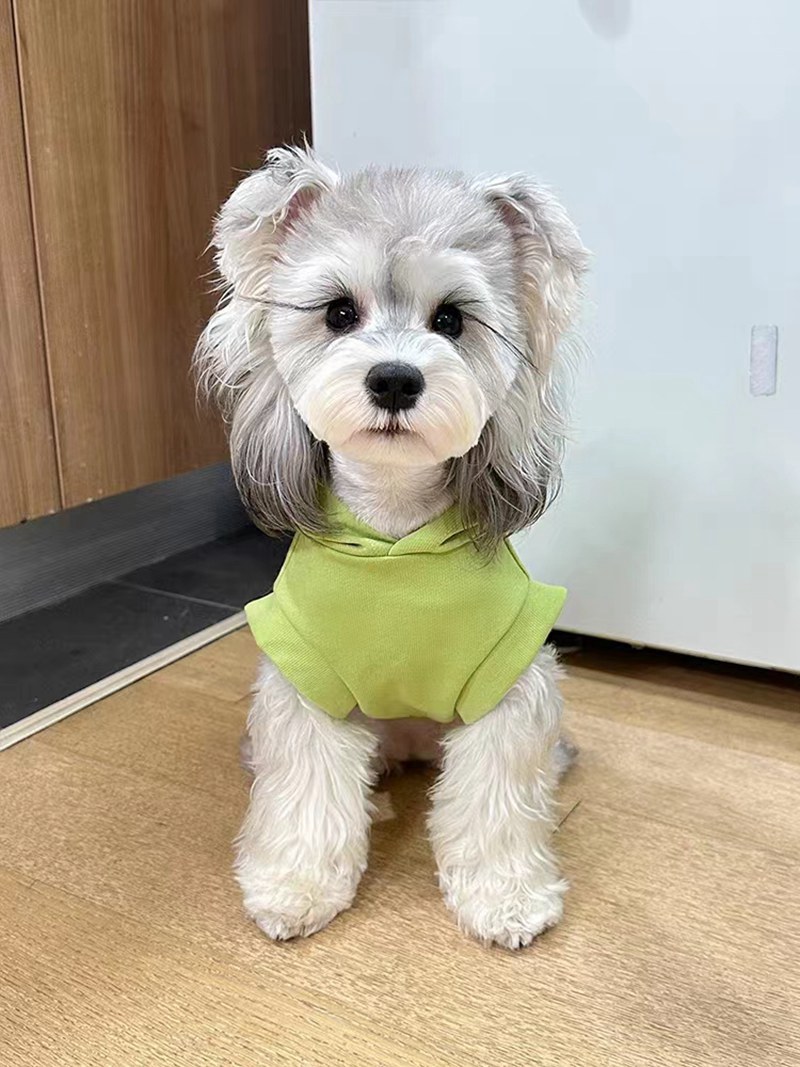 Celine セリール ブランド 犬服 tシャツ無袖 スウェット 子犬猫洋服 ベスト パーカー Tシャツ ペット服 ドッグウェア