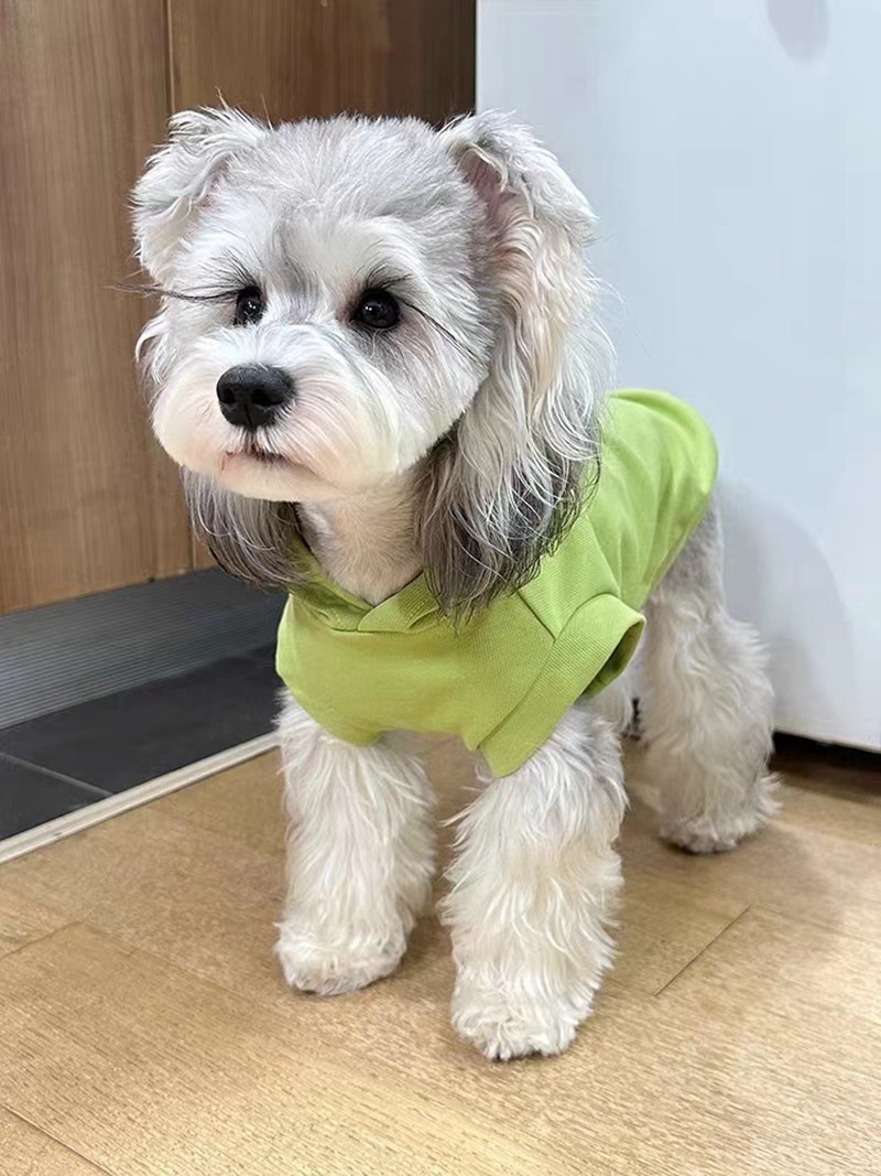 セリールcelineブランド 犬服 tシャツ 子犬 スウェットパーカー ベスト  猫 洋服 無袖Tシャツ ペット服  秋冬服