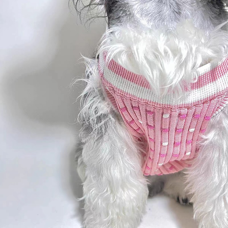 Chanel シャネルブランドペット服かわいいブランドペット用服激安ブランド犬服春夏