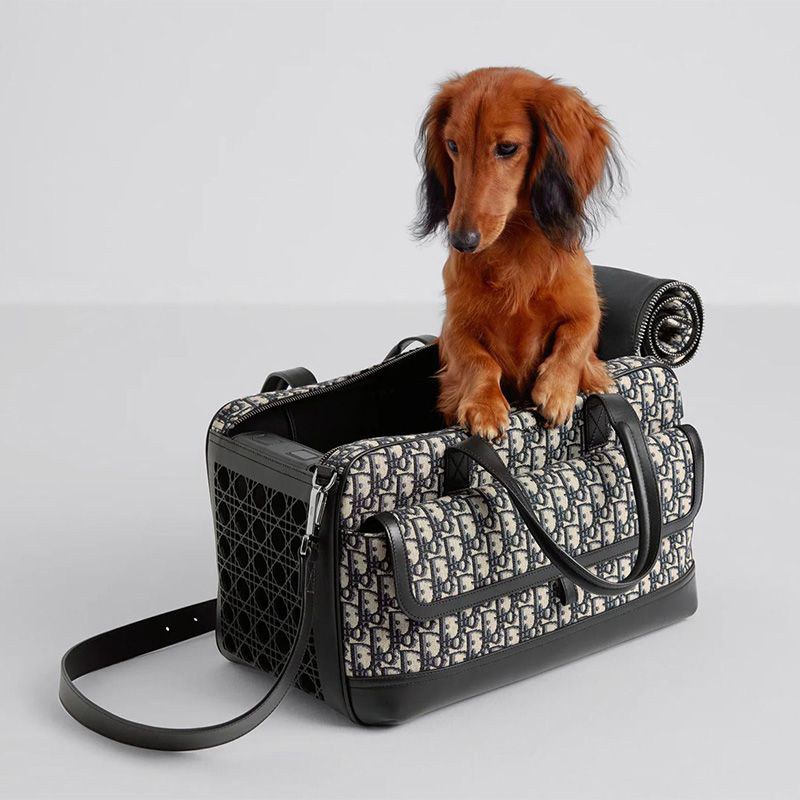 Dior ディオールブランドキャリーバッグブランドペット用パロディ小型ペット用キャリー